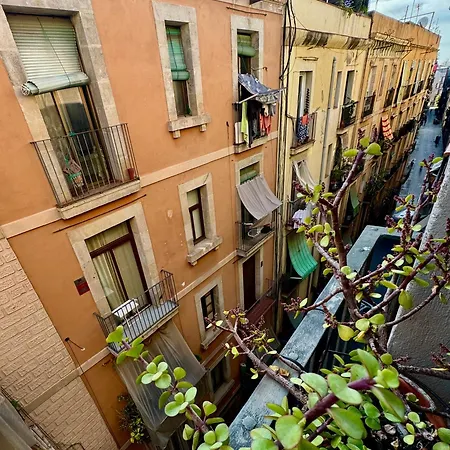 Atractivo Apartamento En El Centro De